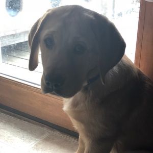 Meet your Posher, Riah